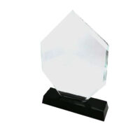 Trophée EN CRISTAL 24cm x 16cm + Coffret
