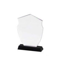 Trophée EN CRISTAL 20cm x 14cm + Coffret