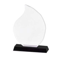 Trophée EN CRISTAL 22cm x 15cm + Coffret