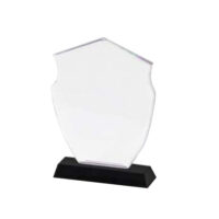 Trophée EN CRISTAL 24cm x 15cm + Coffret
